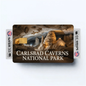 2PK Carlsbad Caverns National Park Credit Card Vinyl Skin Decal