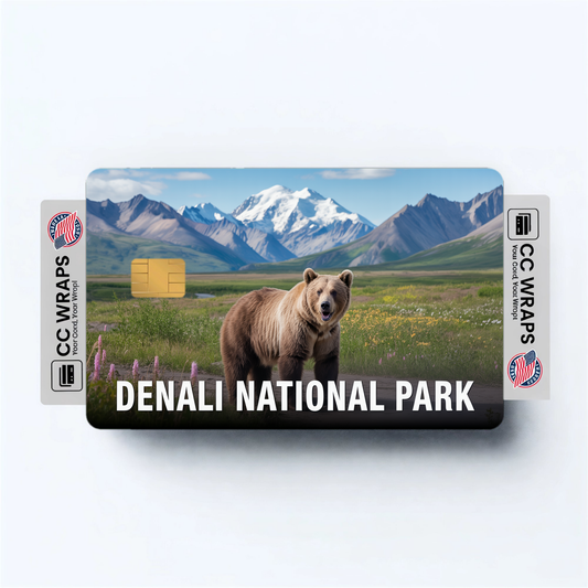 2PK Denali National Park Credit Card Vinyl Skin Decal
