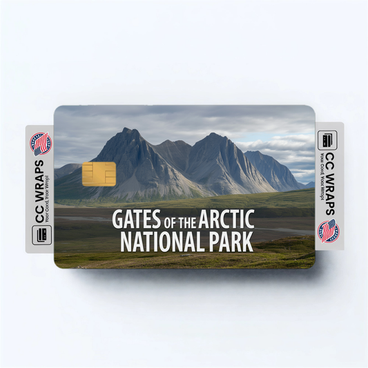 2PK Gates of the Arctic National Park Credit Card Vinyl Skin Decal