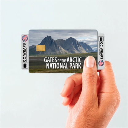 2PK Gates of the Arctic National Park Credit Card Vinyl Skin Decal