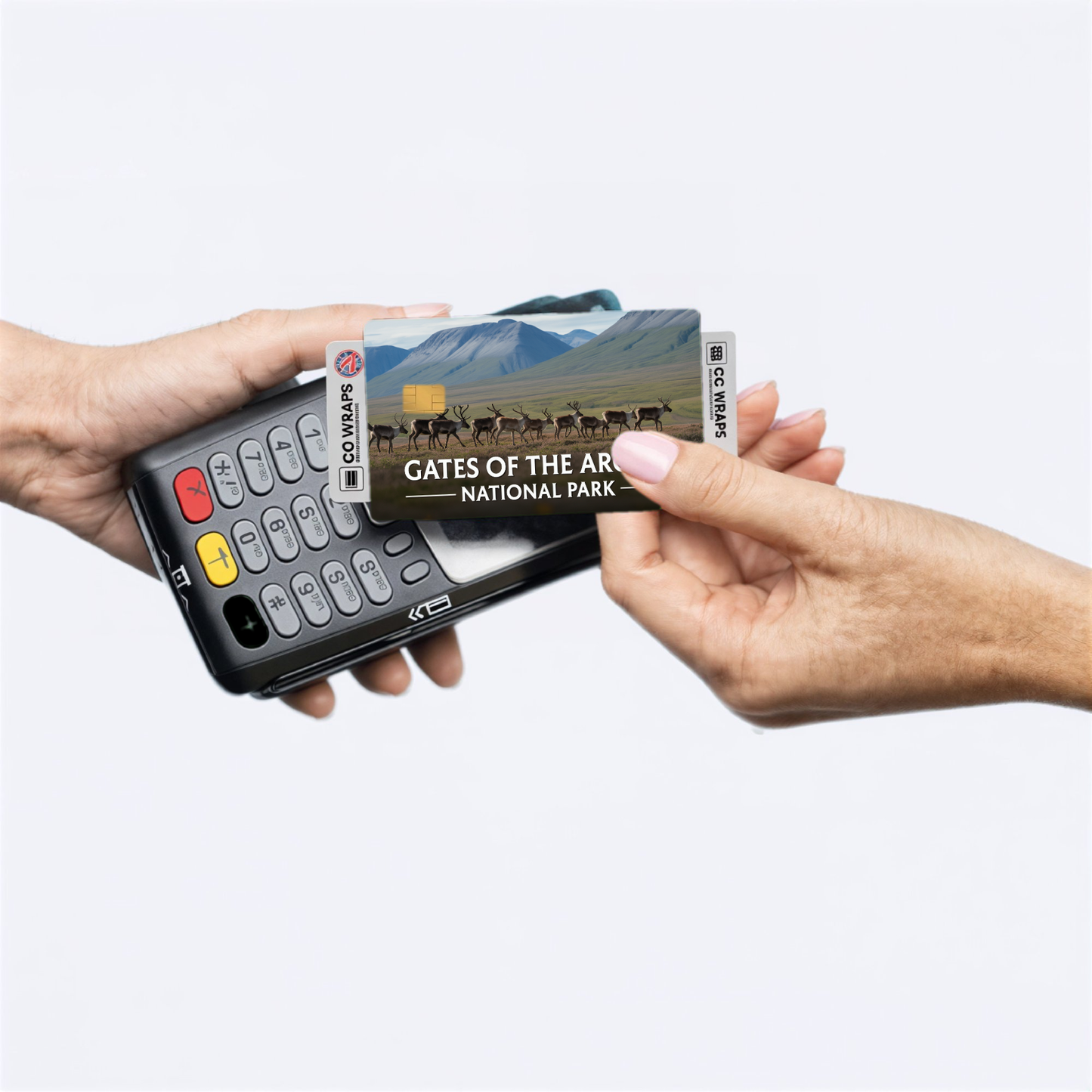 2PK Gates of the Arctic National Park Credit Card Vinyl Skin Decal