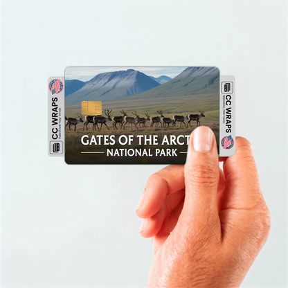 2PK Gates of the Arctic National Park Credit Card Vinyl Skin Decal