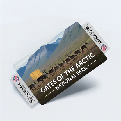 2PK Gates of the Arctic National Park Credit Card Vinyl Skin Decal
