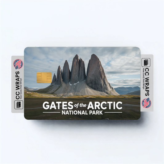 2PK Gates of the Arctic National Park Credit Card Vinyl Skin Decal