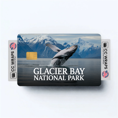 2PK Glacier Bay National Park Credit Card Vinyl Skin Decal
