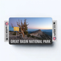 2PK Great Basin National Park Credit Card Vinyl Skin Decal