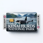 2PK Kenai Fjords National Park Credit Card Vinyl Skin Decal