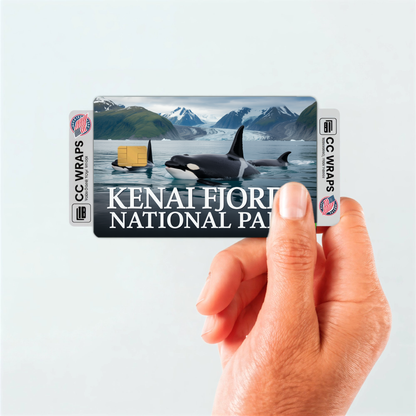 2PK Kenai Fjords National Park Credit Card Vinyl Skin Decal