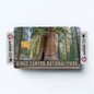 2PK Kings Canyon National Park Credit Card Vinyl Skin Decal