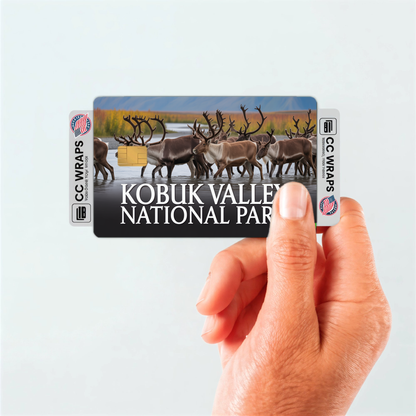 2PK Kobuk Valley National Park Credit Card Vinyl Skin Decal