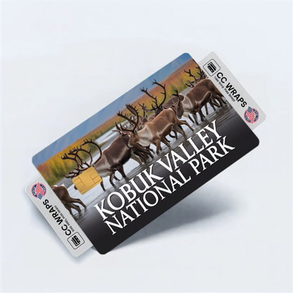 2PK Kobuk Valley National Park Credit Card Vinyl Skin Decal