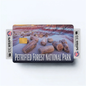 2PK Petrified Forest National Park Credit Card Vinyl Skin Decal