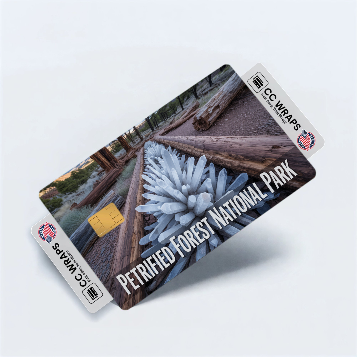 2PK Petrified Forest National Park Credit Card Vinyl Skin Decal