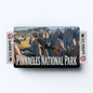 2PK Pinnacles National Park Credit Card Vinyl Skin Decal