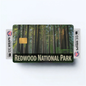 2PK Redwood National Park Credit Card Vinyl Skin Decal