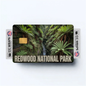 2PK Redwood National Park Credit Card Vinyl Skin Decal