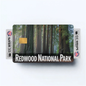 2PK Redwood National Park Credit Card Vinyl Skin Decal