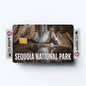 2PK Sequoia National Park Credit Card Vinyl Skin Decal