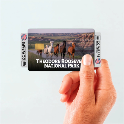 2PK Theodore Roosevelt National Park Credit Card Vinyl Skin Decal