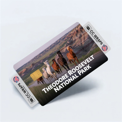2PK Theodore Roosevelt National Park Credit Card Vinyl Skin Decal