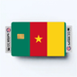2PK Cameroon Flag Credit Card Sticker Skin Vinyl Decal Protector